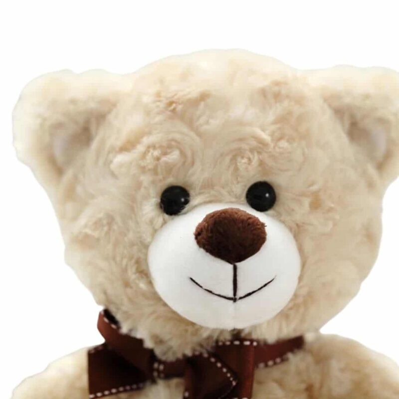 Doudou Petit Ours Doux 23 cm – Image 2